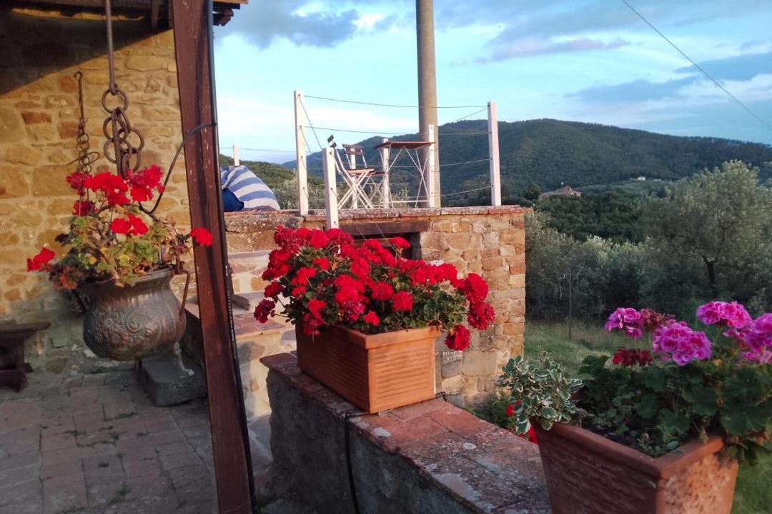 Photo of Others in Greve in Chianti