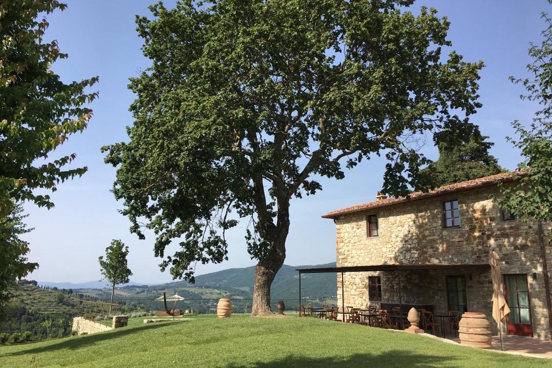 Photo of Others in Montefioralle