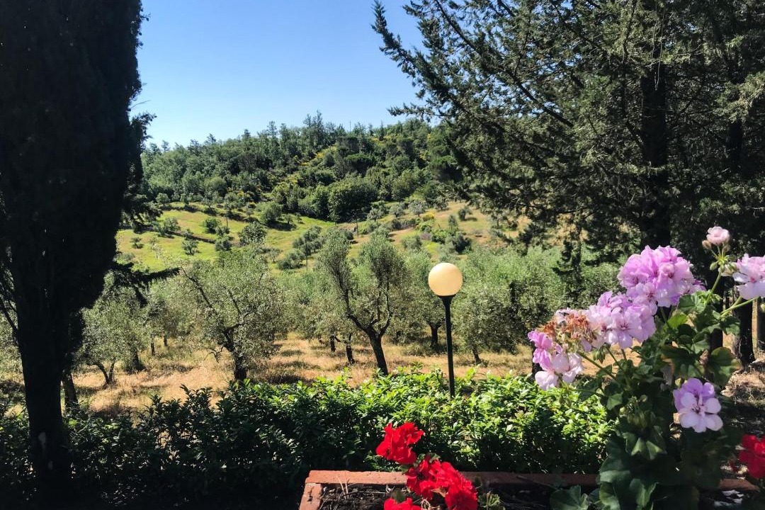 Photo of Others in Greve in Chianti