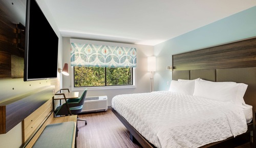 Room, 1 King Bed
