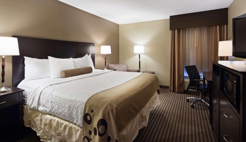 Single Room, 1 King Bed